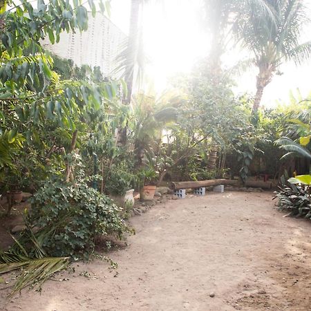 Praia Casa Sao Sebastiao ภายนอก รูปภาพ